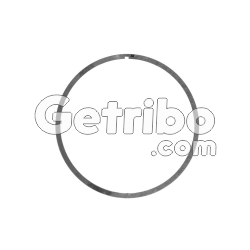 Pierścień uszczelniający pompy statora A960-104226