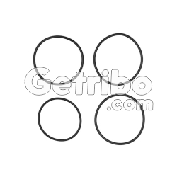 Komplet o-ringów serwa TF80SC-104251