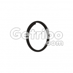 Pierścień wału wejściowego 5HP 6HP 22,6X25X2,0