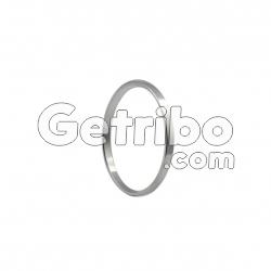 Pierścień piasty tłumika Powershift 6DCT450 MPS6 (08+) benzyna-104107